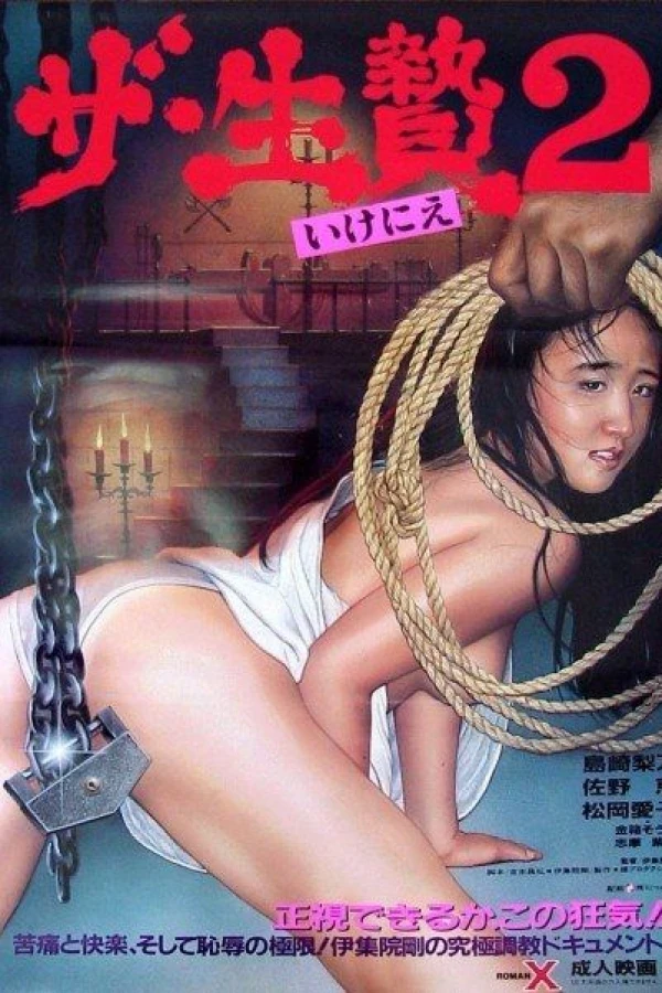 Captured for Sex 2 Poster