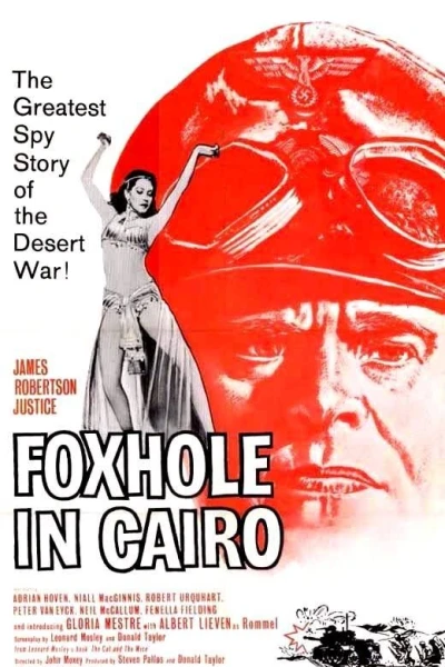 Foxhole in Cairo