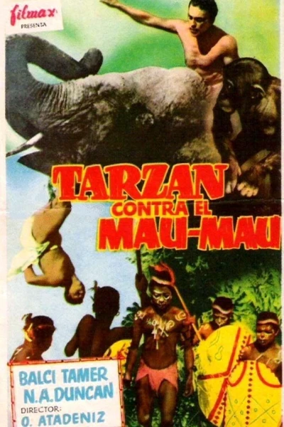 Tarzan Istanbulda
