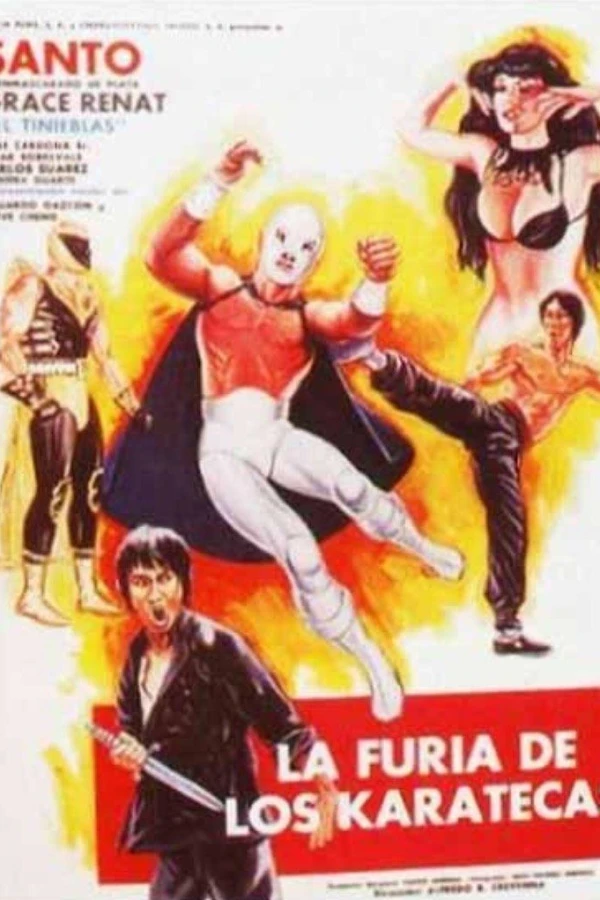 Fury of the Karate Killers Poster