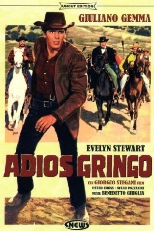 Adiós gringo Poster