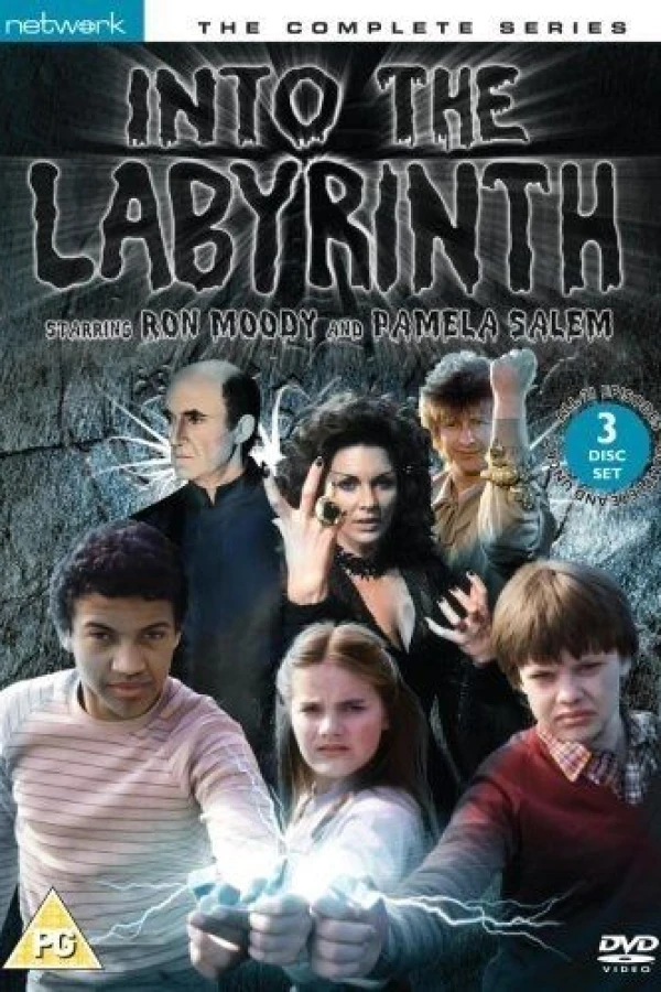 Into the Labyrinth Poster