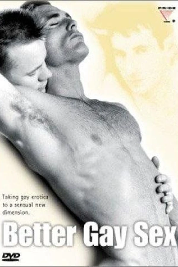 Erotic Choices: A Guide To Better Gay Sex Poster