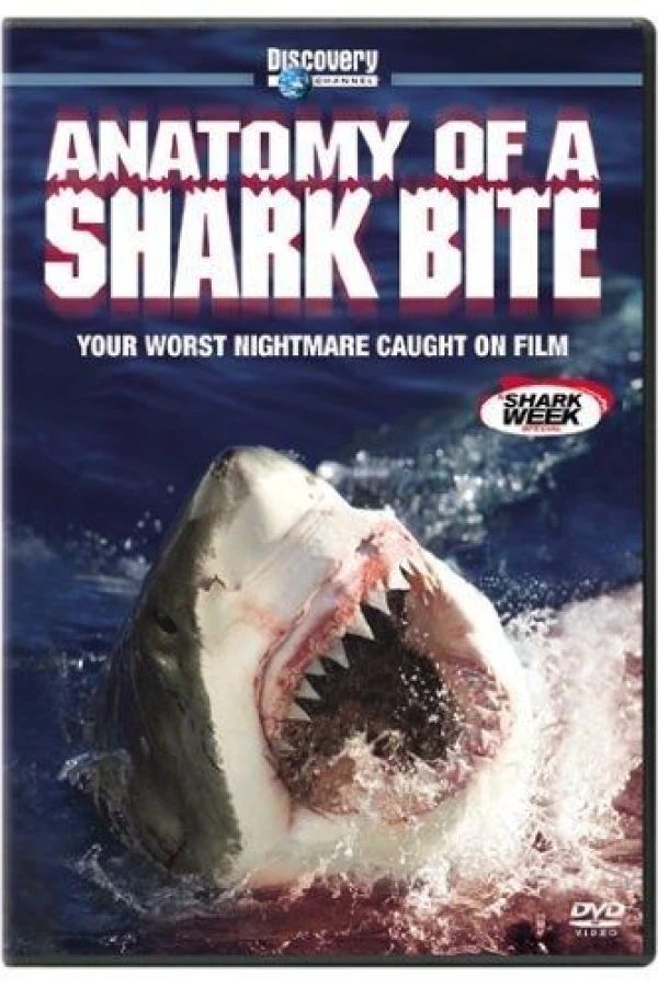 Anatomy of a Shark Bite Poster