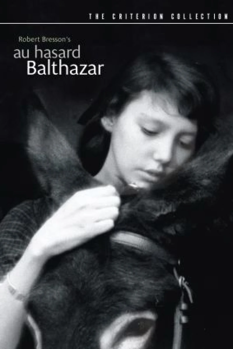 Balthazar At Random Poster