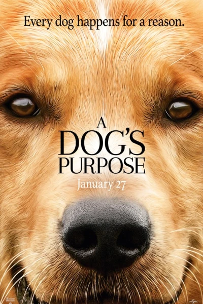Dog's Purpose, A