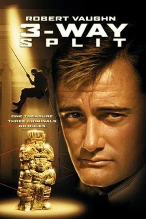 3-Way Split Poster