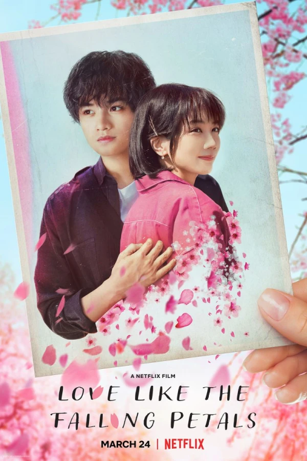 My Lover, Like Cherry Blossoms Poster