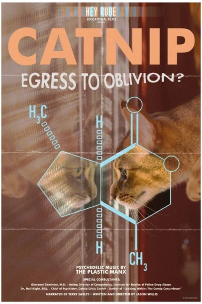 Catnip: Egress to Oblivion?