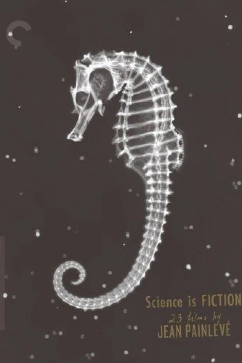 The Seahorse Poster