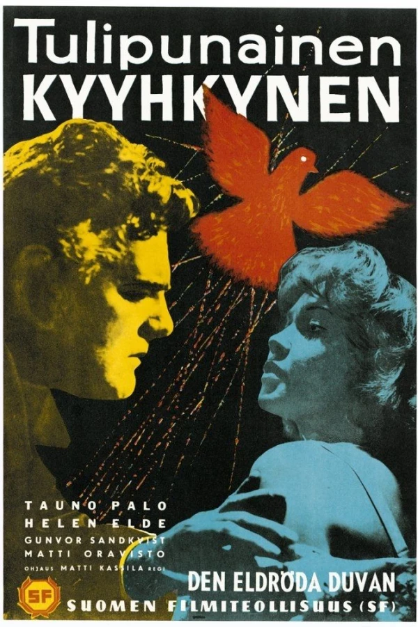 Tulipunainen kyyhkynen Poster