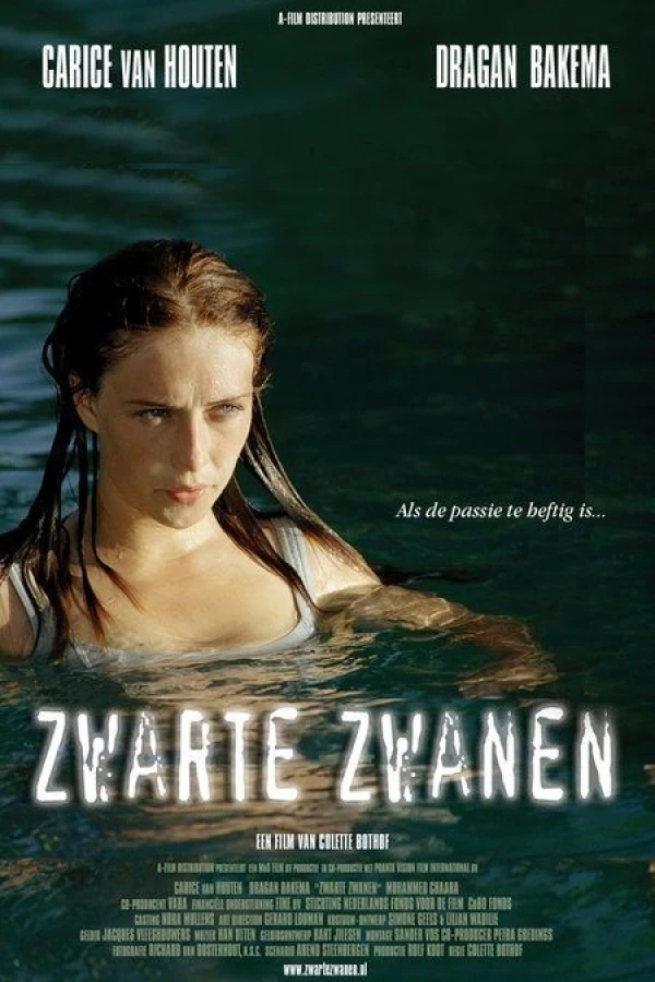 Zwarte zwanen Poster