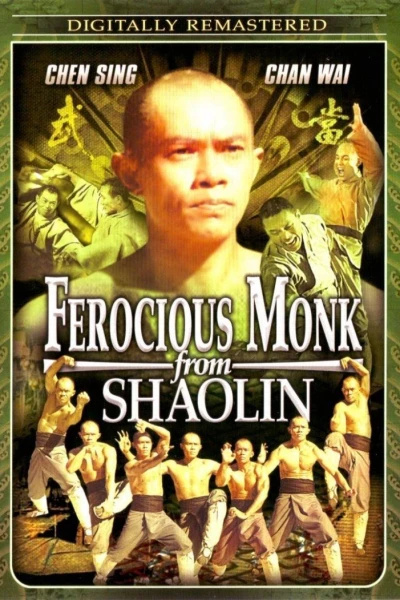 Ferocious Shaolin Monk