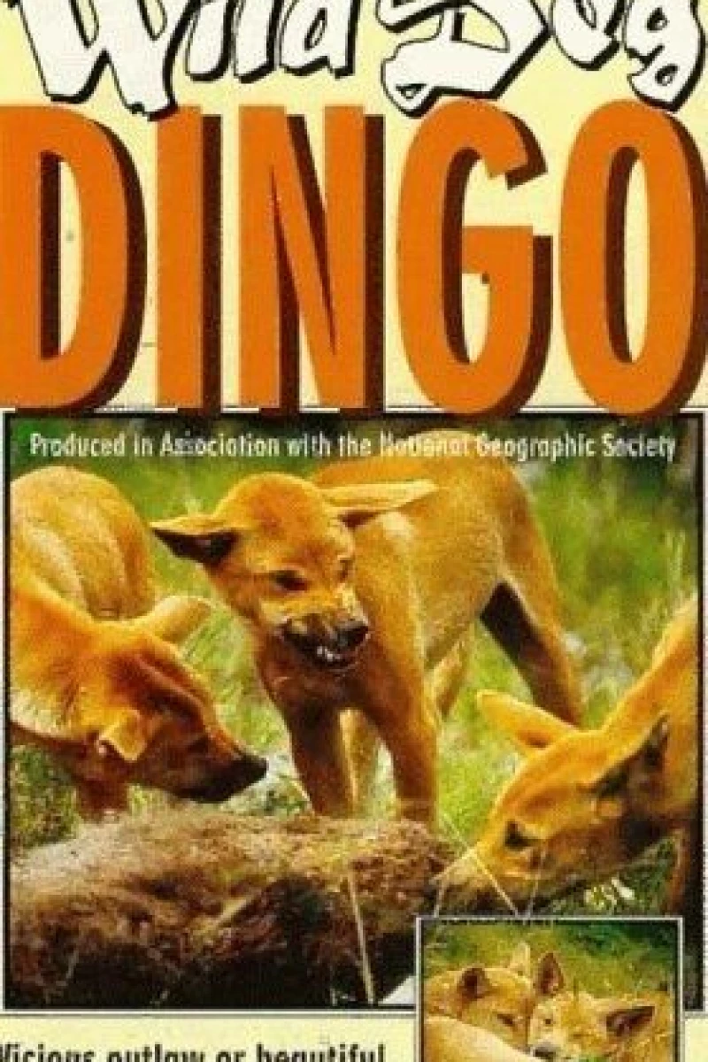 Dikaya sobaka Dingo Poster