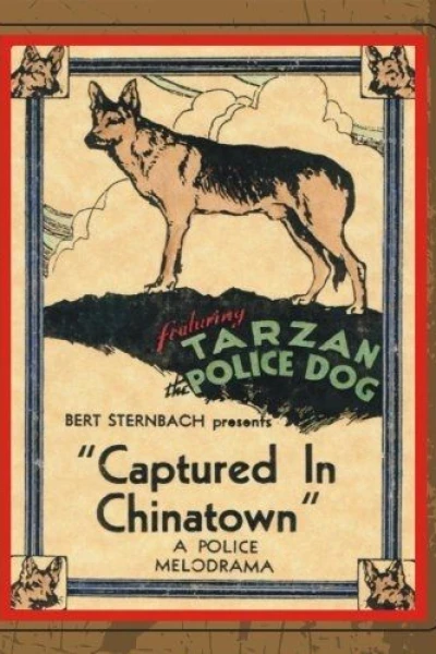 Captured in Chinatown