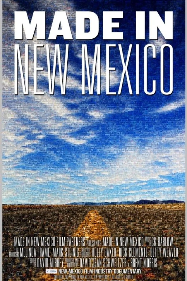 Made in New Mexico Poster