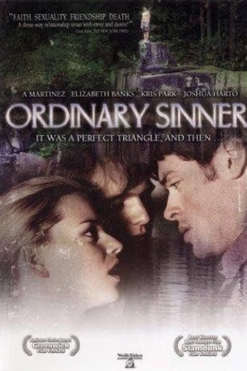 Ordinary Sinner Poster