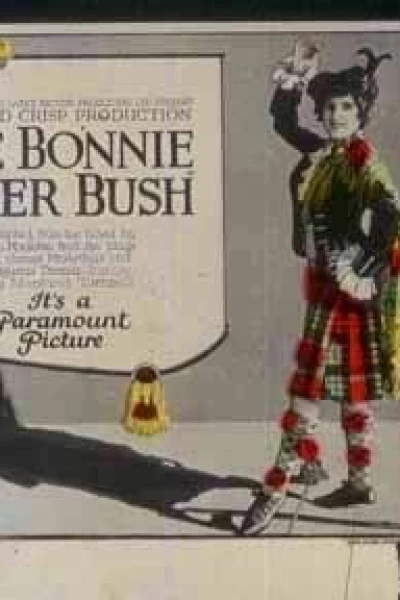 The Bonnie Brier Bush