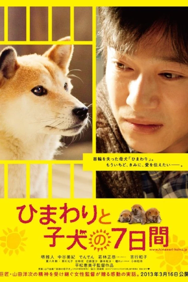 7 Days of Himawari and Her Puppies Poster