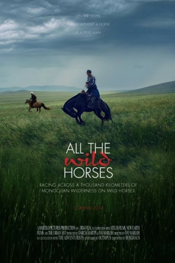 All the Wild Horses Poster