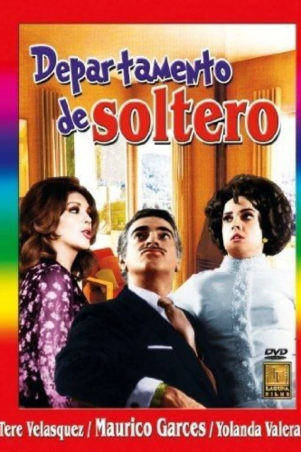 Departamento de soltero Poster