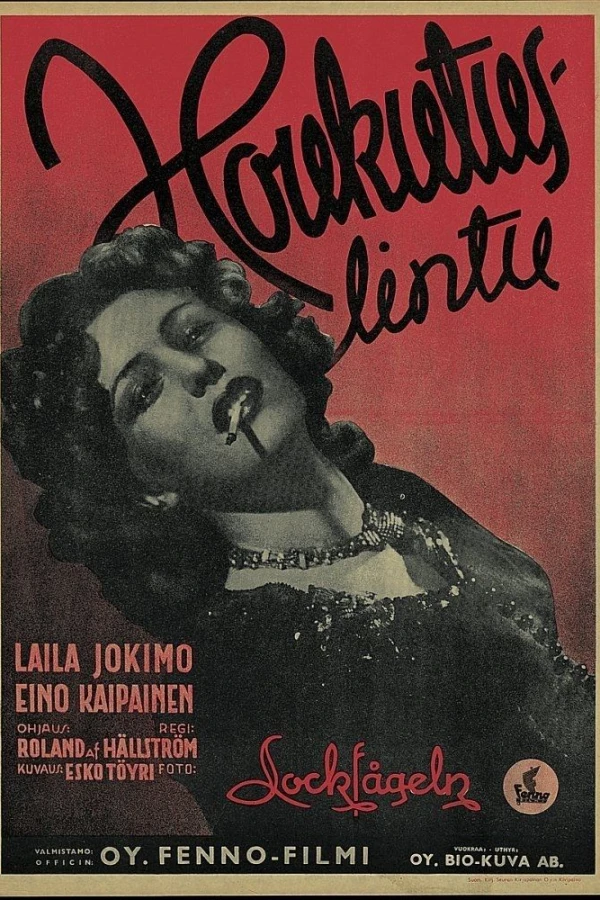 Houkutuslintu Poster