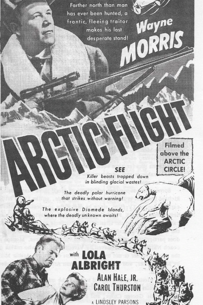 Arctic Flight Poster