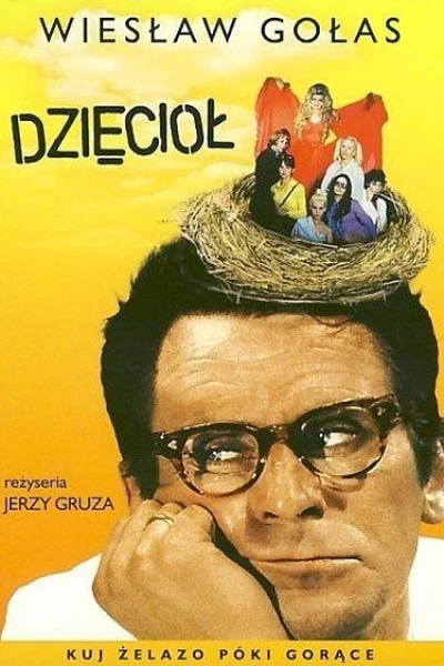 Dzieciol