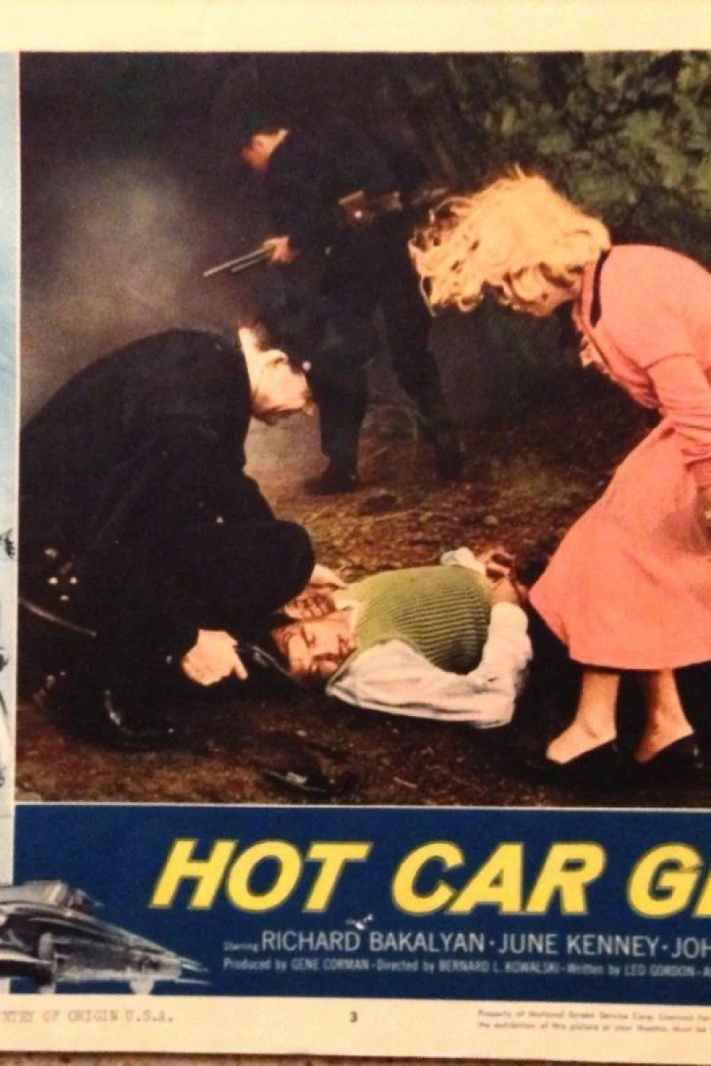 Hot Car Girl Poster