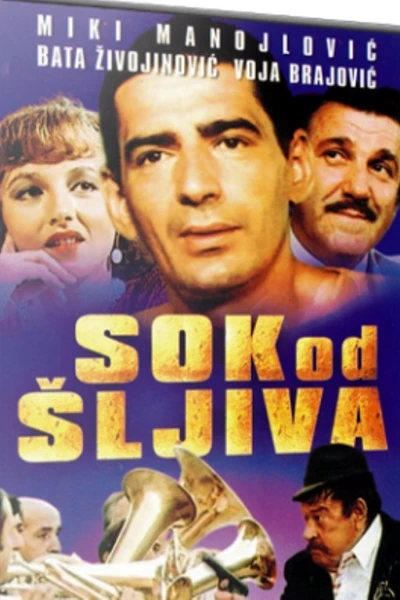 Sok od sljiva