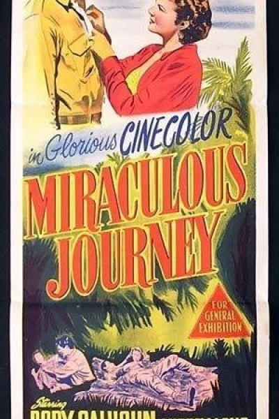 Miraculous Journey