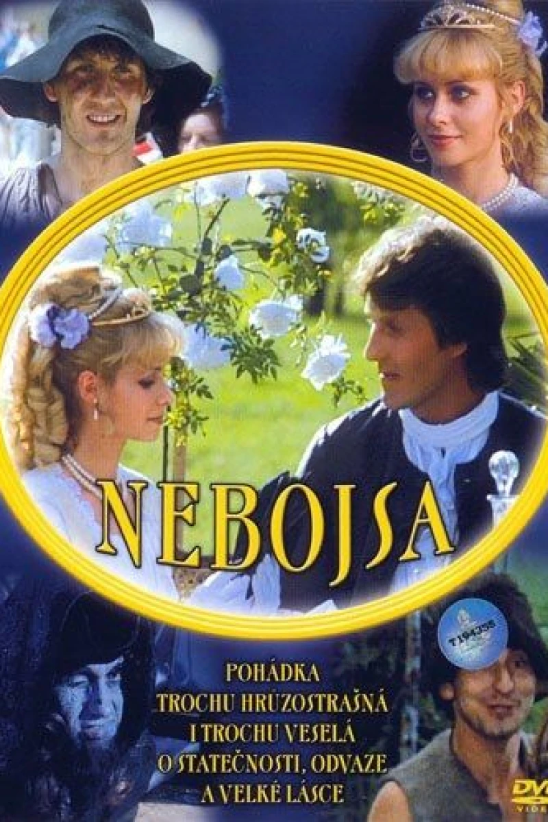 Nebojsa Poster