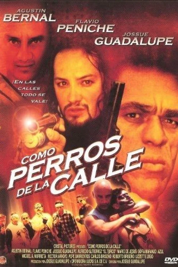 Como perros de la calle Poster