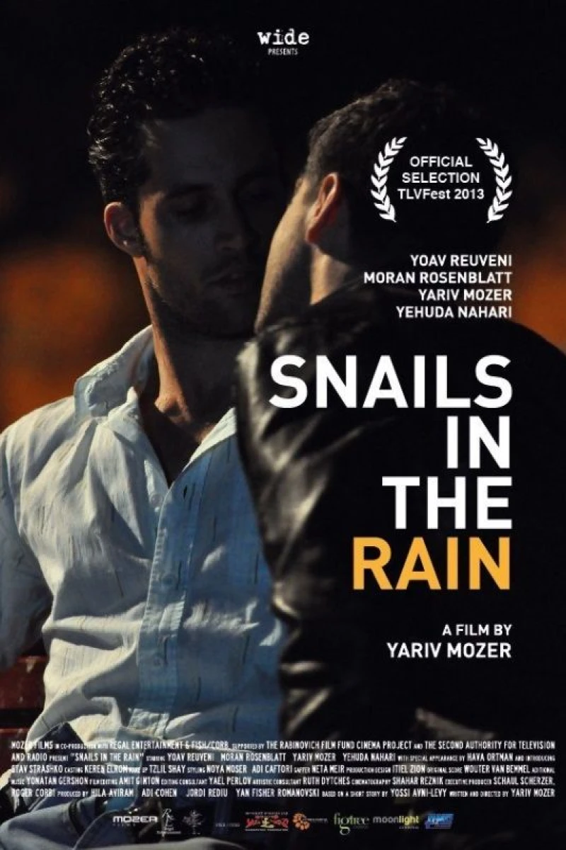 Snails in the Rain Poster