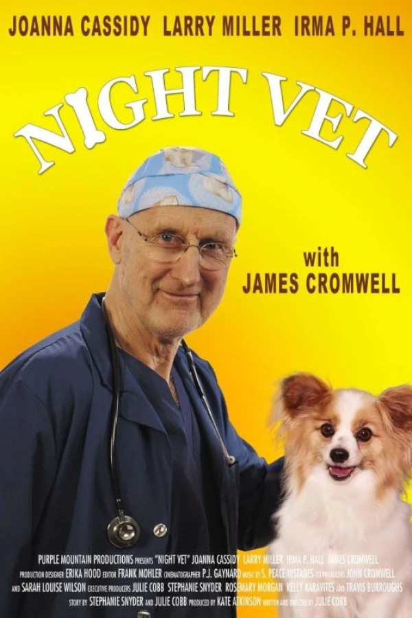 Night Vet Poster