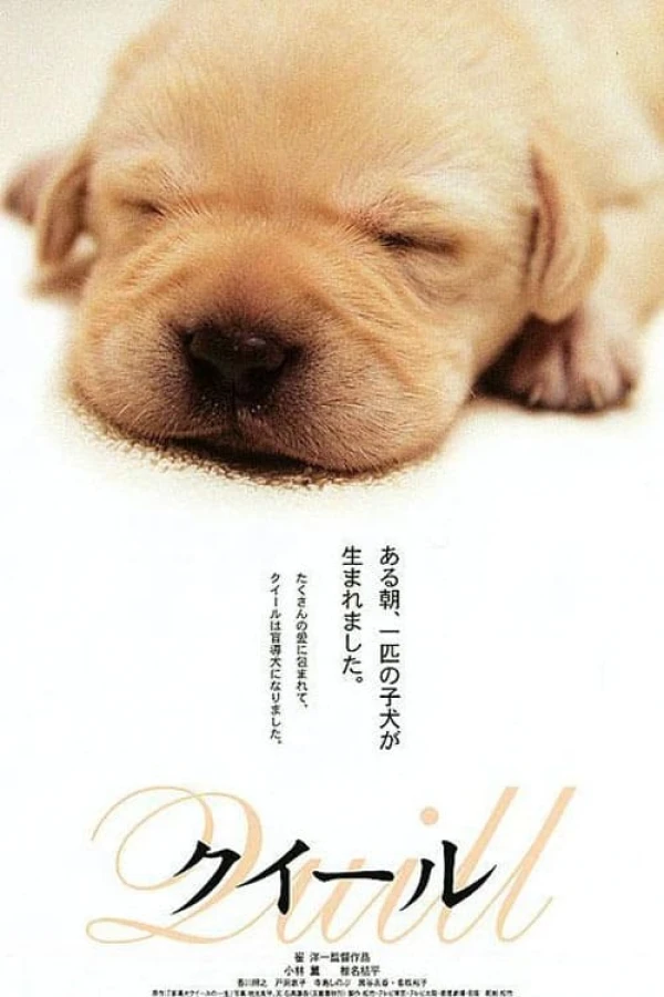 Quill: The Life of a Guide Dog Poster