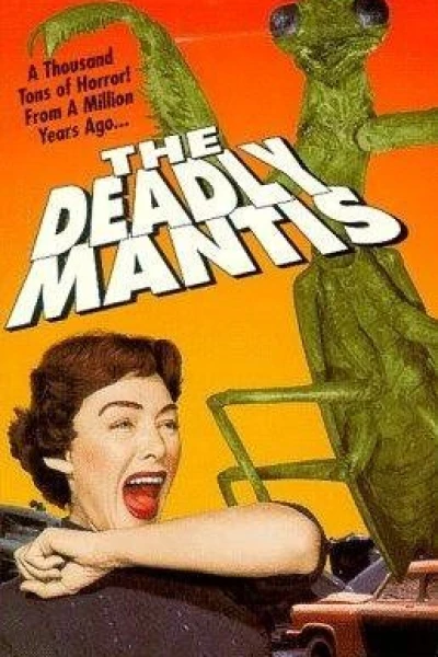 The Giant Mantis