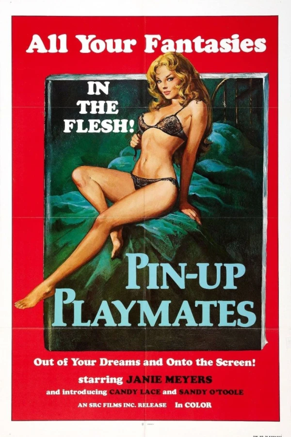 Pinup Playmates Poster
