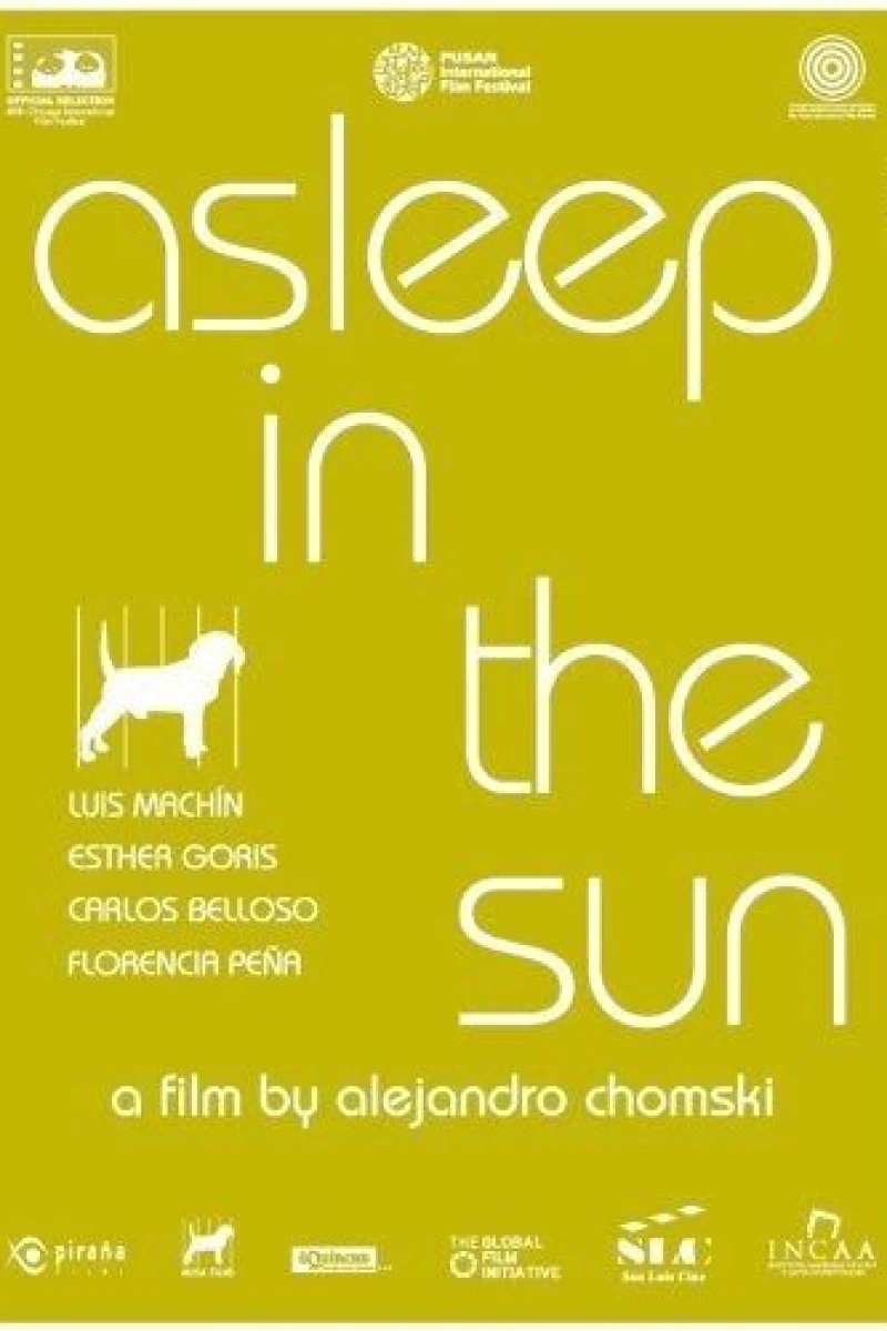 Asleep in the Sun Poster