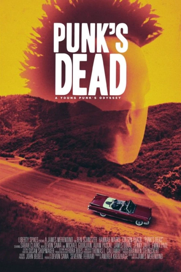 Punk's Dead Poster