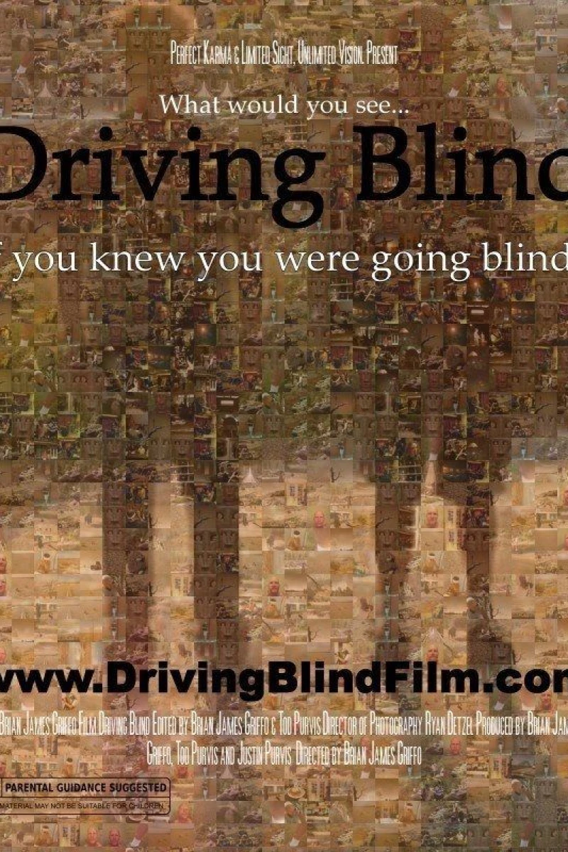Driving Blind Poster