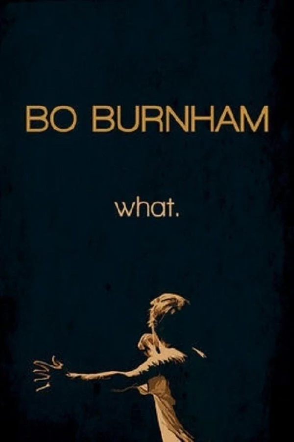 Bo Burnham what. Poster