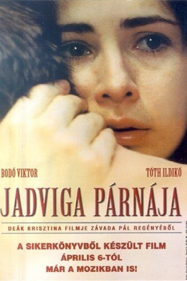 Jadviga's Pillow Poster
