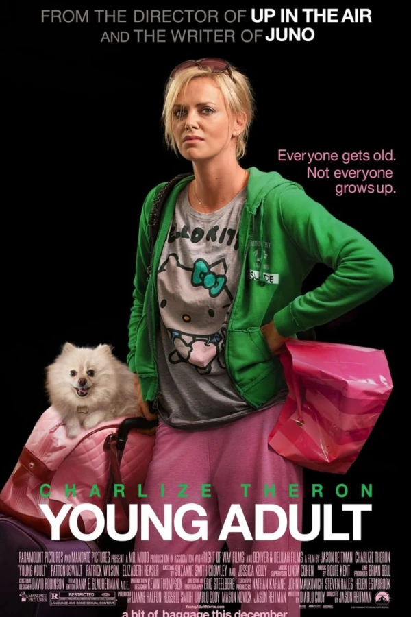 Young Adult Poster