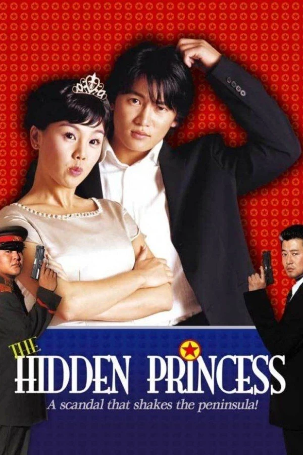 The Hidden Princess Poster