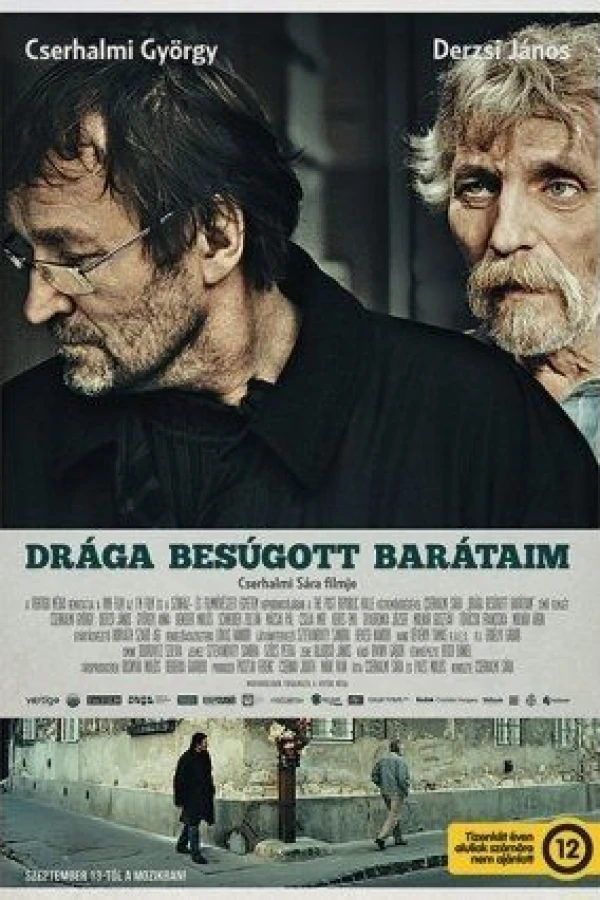 Dear Betrayed Friends Poster