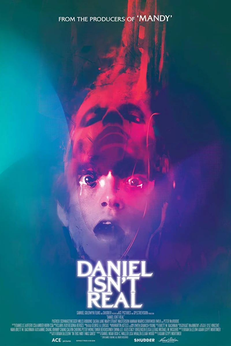 Daniel Isn't Real Poster