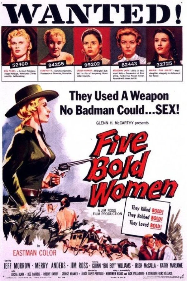 Five Bold Women Poster