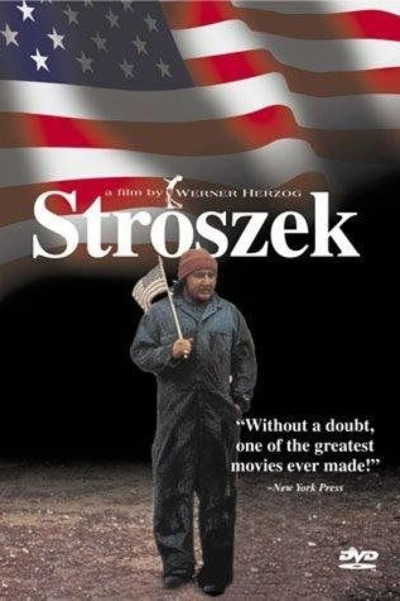 Stroszek Poster