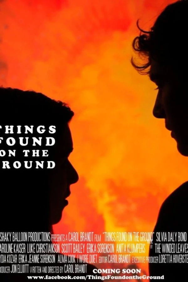 Things Found on the Ground Poster